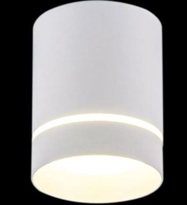 Точечный светильник накладной S216133 RT WT цоколь GU5.3