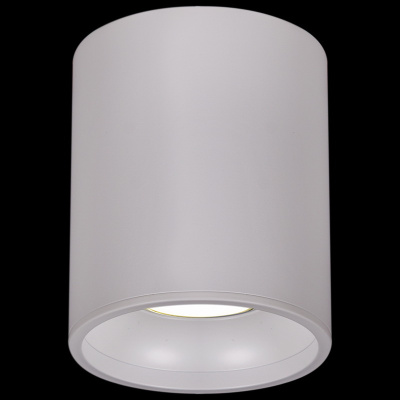 Точечный светильник накладной S216132 CN WT (79*100) GU5.3