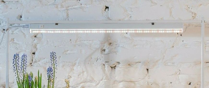 Фито-св-к св/д для раст.14вт 30мкм/с КРЕМОВЫЙ с выкл длина 900мм ФитоЛето