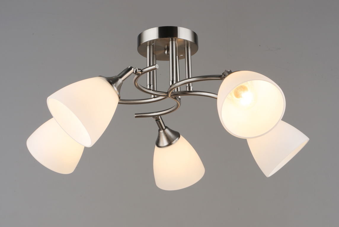 Люстра потолочная F16579/5 SL E27