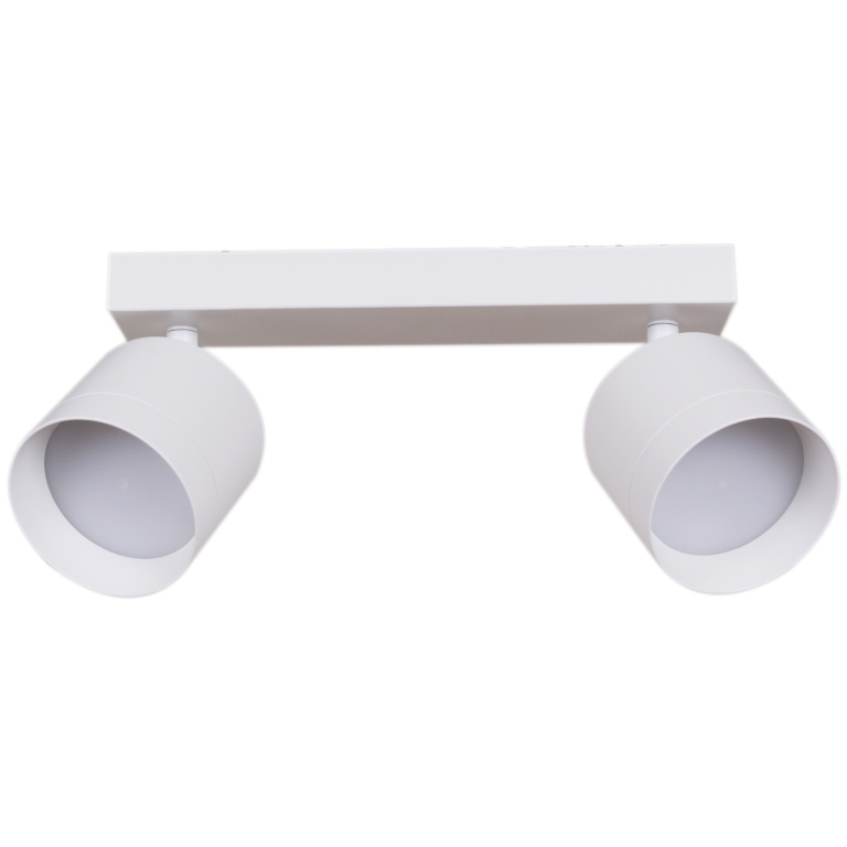 Спот S253019/2L GX53 WT