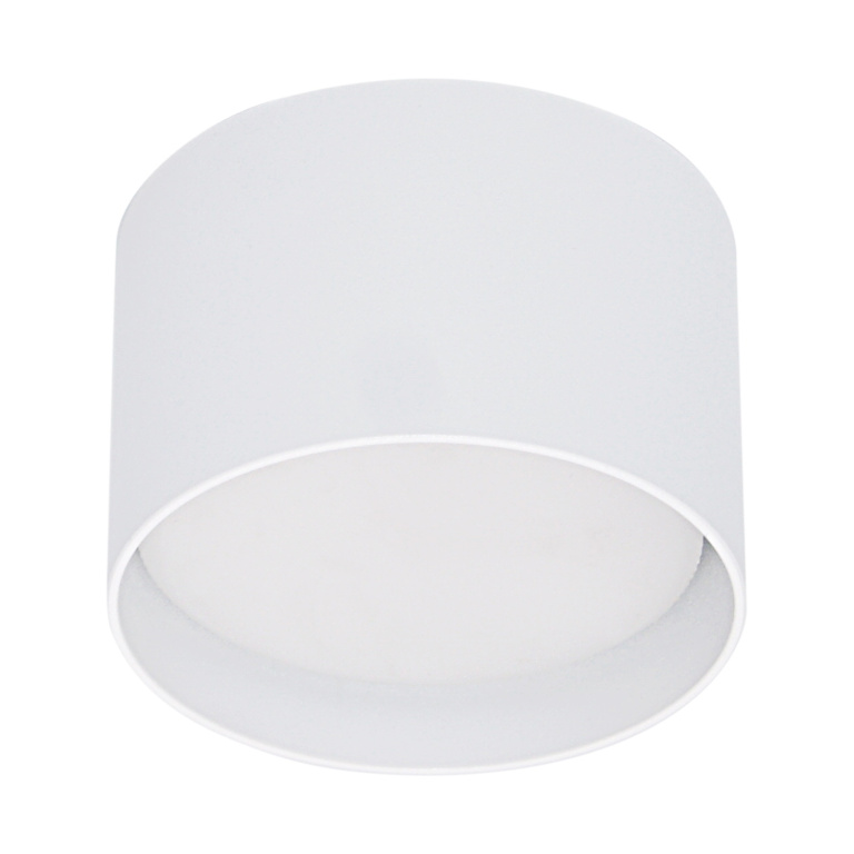 Потолочный светильник накладной S253006 WT GX53 