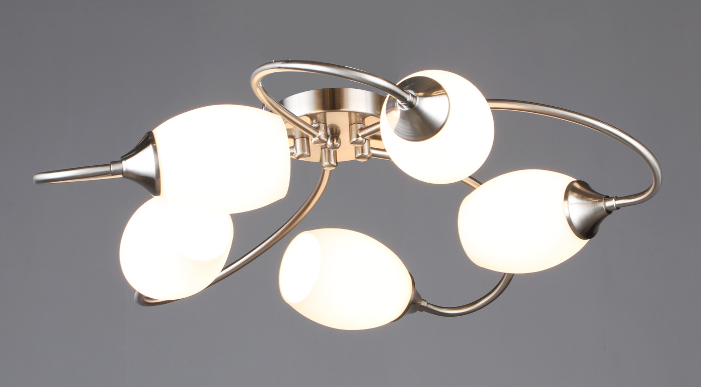 Люстра потолочная F16436/5 SL E27