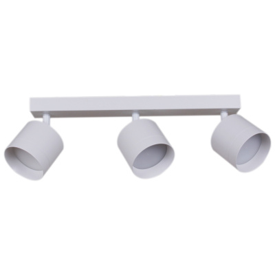 Спот S253019/3L GX53 WT