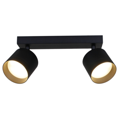 Спот S253019/2L GX53 BK