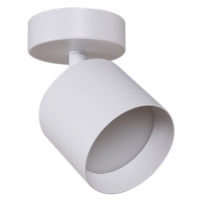 Спот S253019/1w GX53 WT