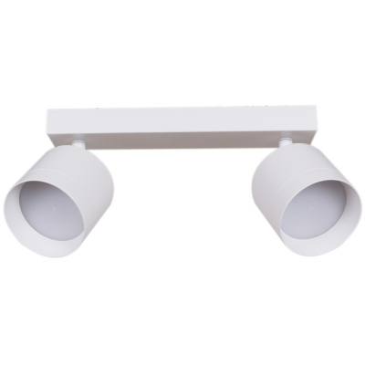 Спот S253019/2L GX53 WT