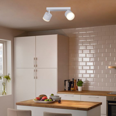 Спот S253004/2L GX53 WT