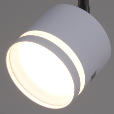 Спот потолочный S251540/3 WT+CR GX53 