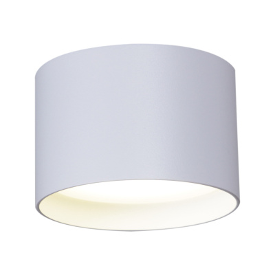 Потолочный светильник накладной S253006 WT GX53 