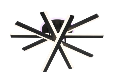 Люстра светодиодная F12902/610 LED BK+RGB 138W+11W RGB диам.610