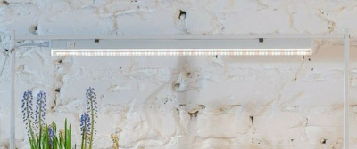 Фито-св-к св/д для раст.14вт 30мкм/с КРЕМОВЫЙ с выкл длина 900мм ФитоЛето