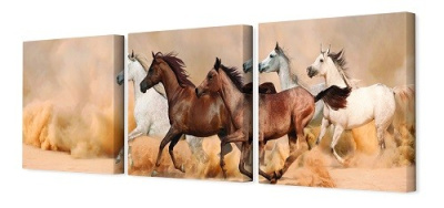 Модульная картина 35*110