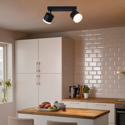 Спот S253004/2L GX53 BK