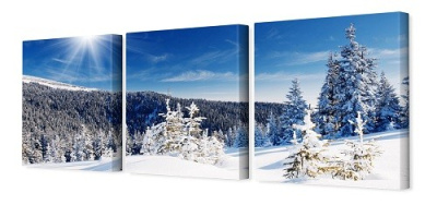 Модульная картина 35*110