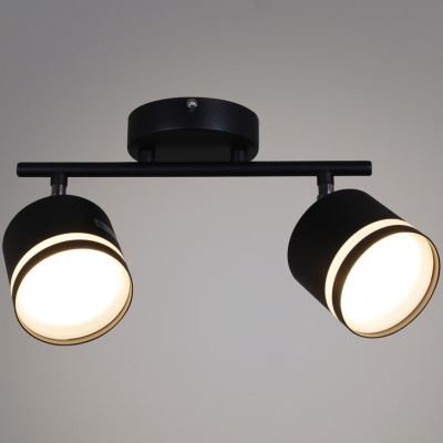 Спот S250540/2 GX53 BK