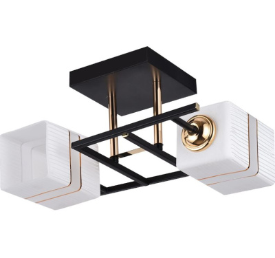 Люстра потолочная S272101/2 BK+FGD