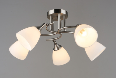 Люстра потолочная F16579/5 SL E27