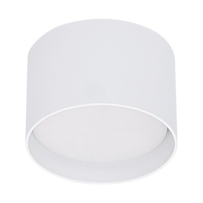 Потолочный светильник накладной S253006 WT GX53 