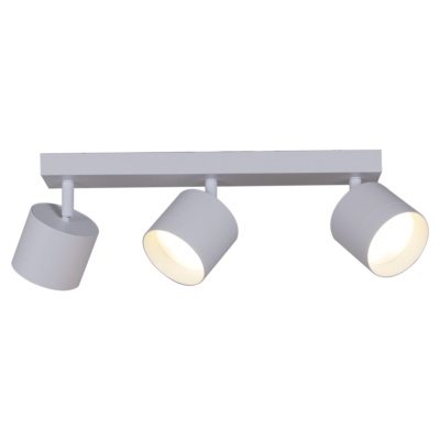 Спот S253019/3L GX53 WT