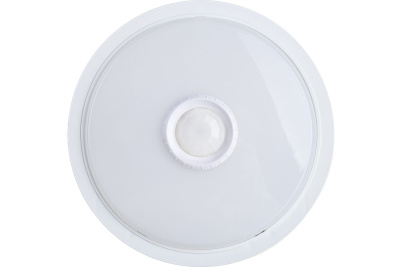 ASD св-к св/д ЖКХ СПБ-2Д 14W(1100lm) 210мм белый, с дат. движ.0693