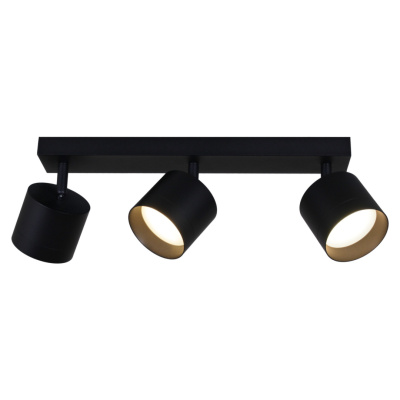 Спот S253019/3L GX53 BK