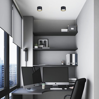 Потолочный светильник накладной S253006 BK GX53 