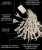 Гирлянда св/д С108-22 занавес 2*2м LED белый 