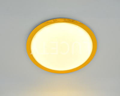 Светильник потолочный с пультом L319101 LED RG 72W диам.500 мм