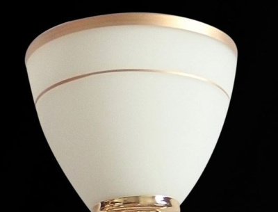 Люстра потолочная S252092/5