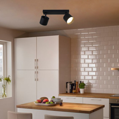 Спот S253019/2L GX53 BK