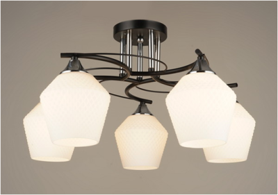 Люстра потолочная F14488/5 BK+CR
