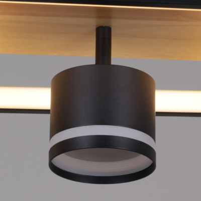 Люстра светодиодная S219560/2+2 BK+WOOD с пультом 98W 7840lm 550*240*170