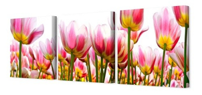 Модульная картина 35*110