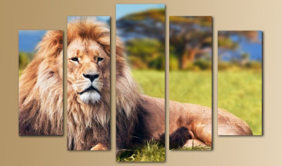 Модульная картина 80*140