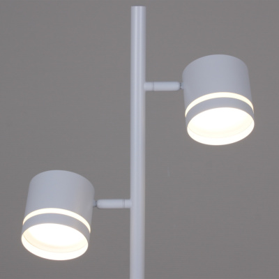 Торшер S253001/2 WT GX53