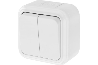 Выключатель 2кл.для ОП IP54 Пралеска